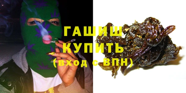 хмурый Аркадак
