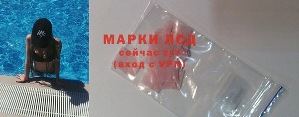 хмурый Аркадак