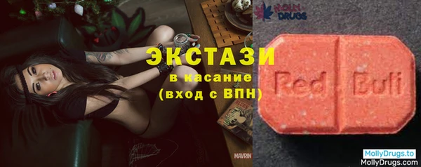 хмурый Аркадак