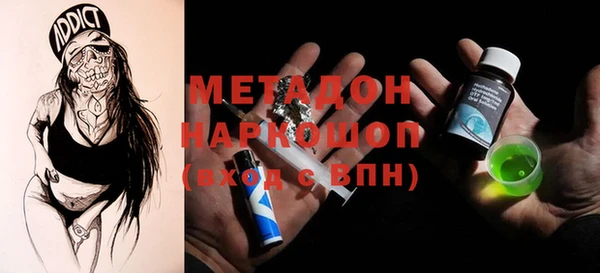 хмурый Аркадак