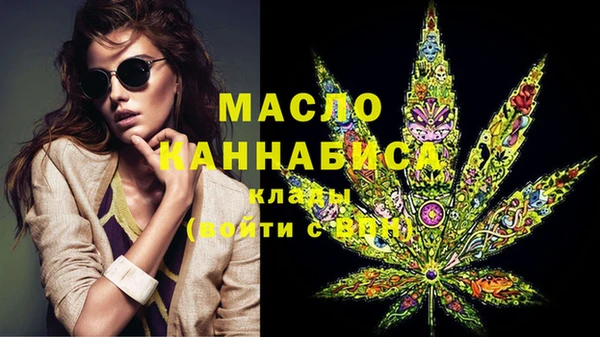 хмурый Аркадак