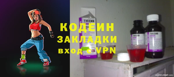 хмурый Аркадак