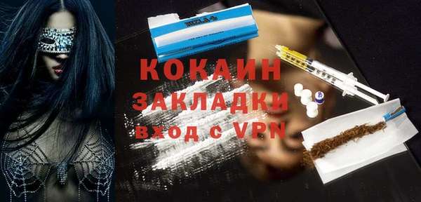 хмурый Аркадак