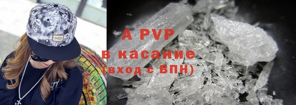 хмурый Аркадак