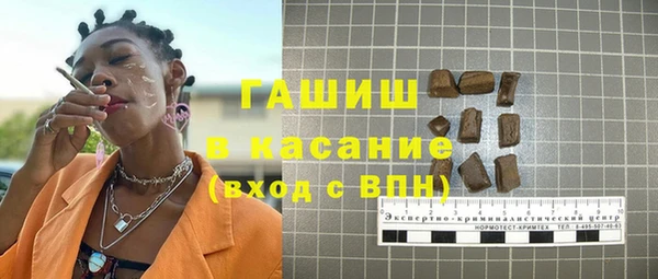 хмурый Аркадак