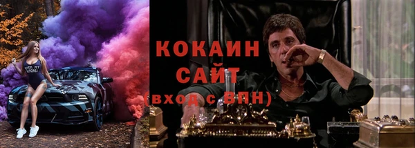 хмурый Аркадак