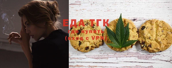 хмурый Аркадак